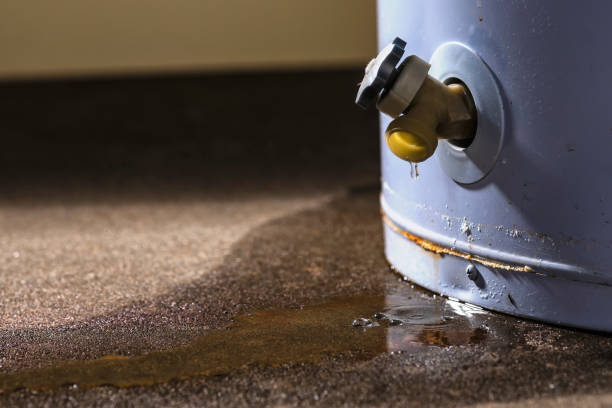 Best Ceiling water damage repair  in Lionville, PA