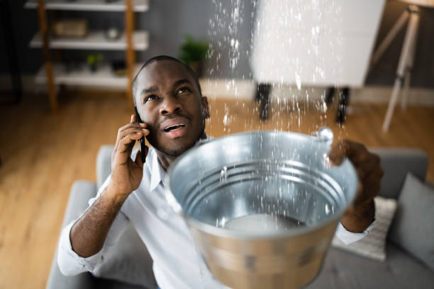 Best Water damage restoration experts  in Lionville, PA
