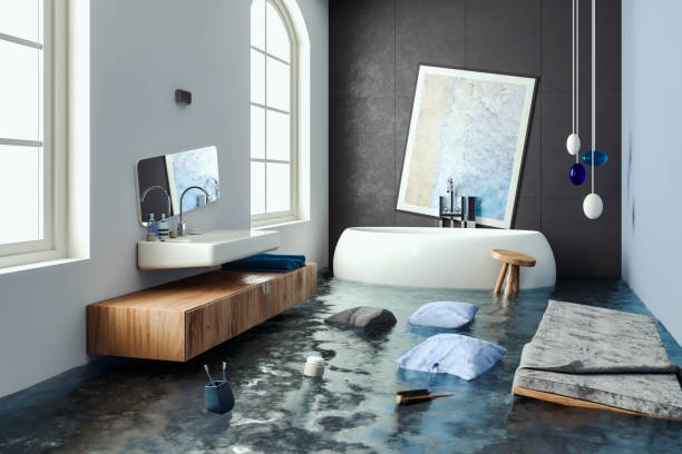 Best Mold removal after water damage  in Lionville, PA