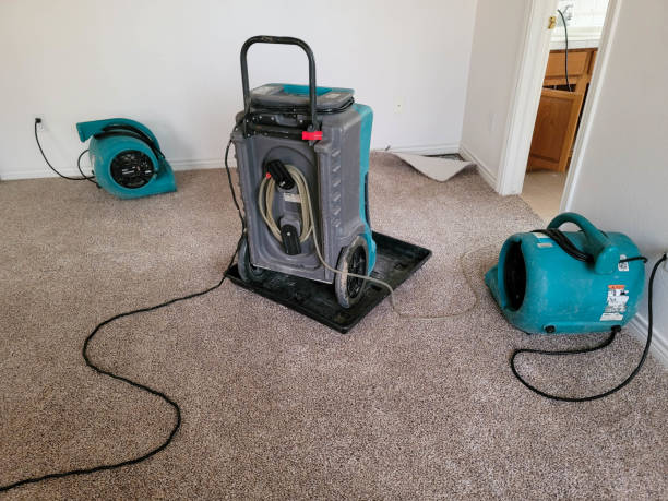 Best Carpet water damage restoration  in Lionville, PA