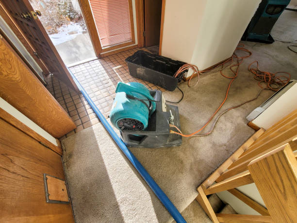 Best Water damage restoration mold remediation  in Lionville, PA
