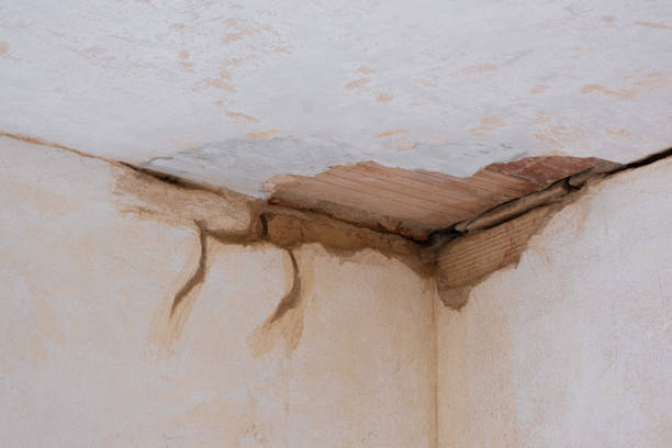  Lionville, PA Water damage restoration Pros