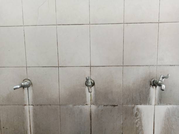 Water damage restoration mold remediation in Lionville, PA