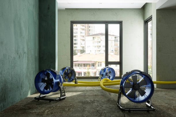 Best Water damage restoration process  in Lionville, PA