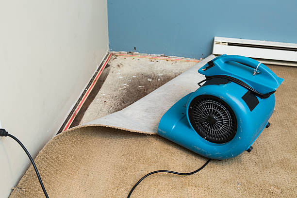 Best Water damage restoration near me  in Lionville, PA
